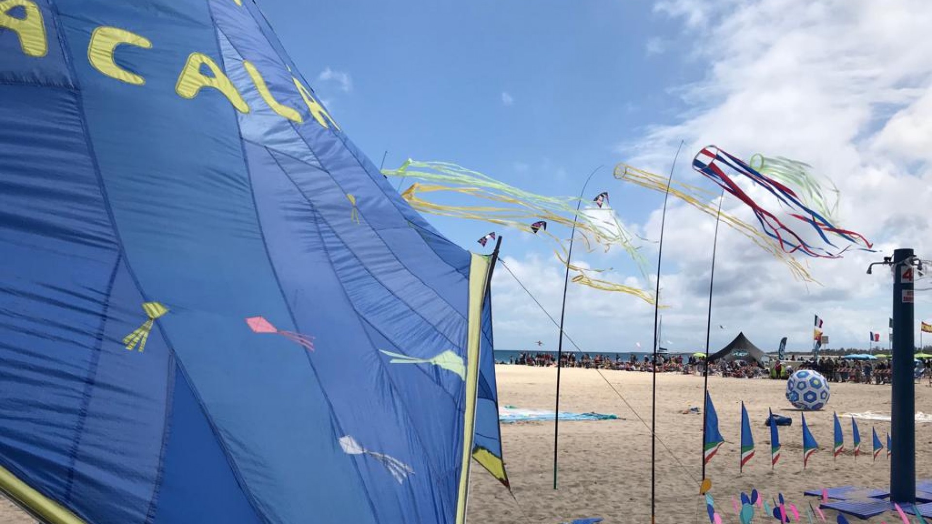 The Kite Festival