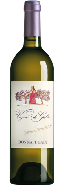 Vigna di Gabri