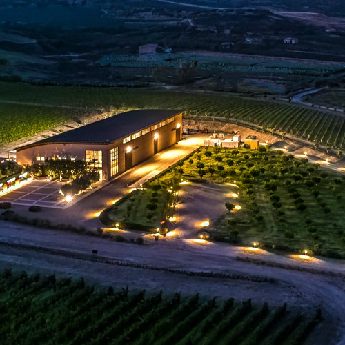 Donnafugata sotto le Stelle Vittoria - SOLD OUT: degustazione e visita in cantina a Vittoria