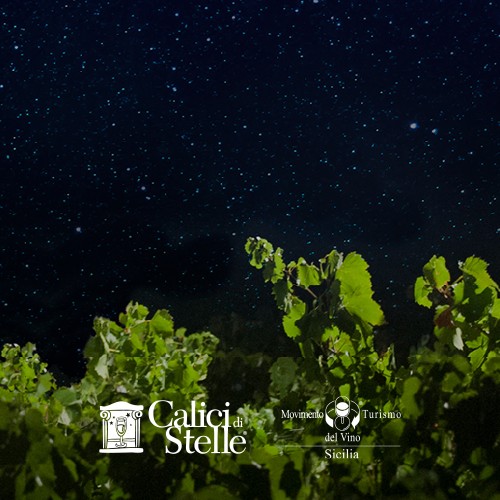 Calici di Stelle 2026: degustazione e visita in cantina a Contessa Entellina