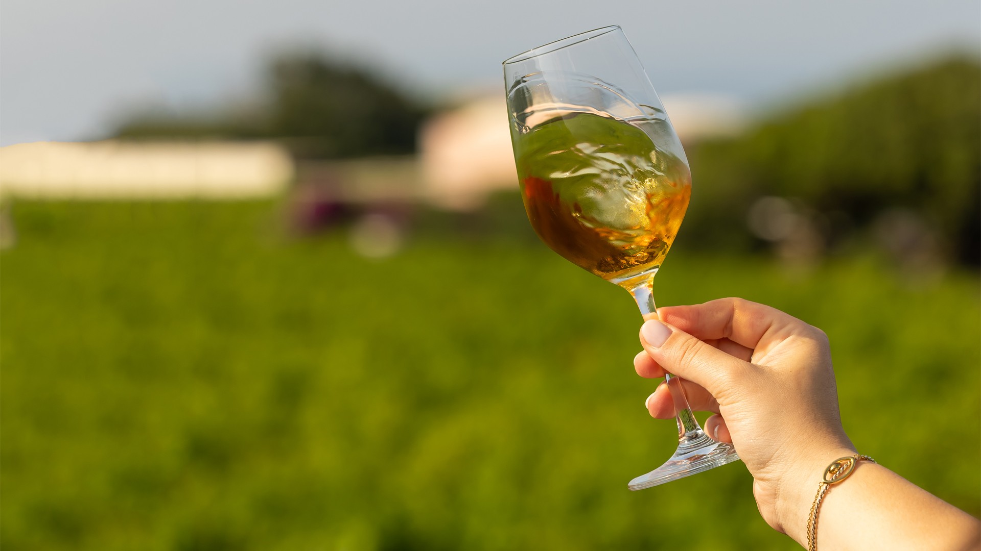 Vini Vulcanici - Pantelleria