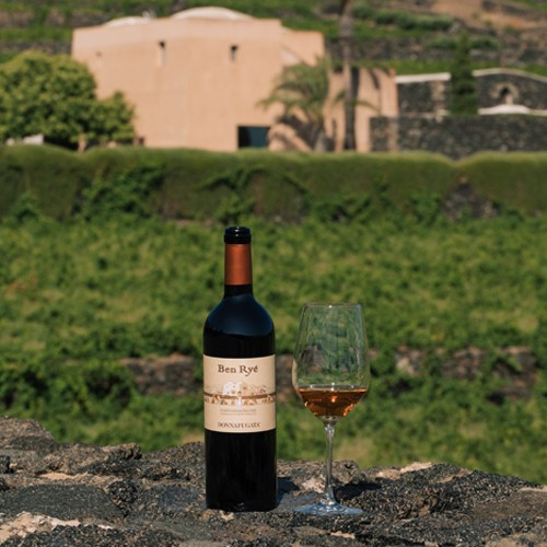 Volcanic Wines: degustazione e visita in cantina a Pantelleria