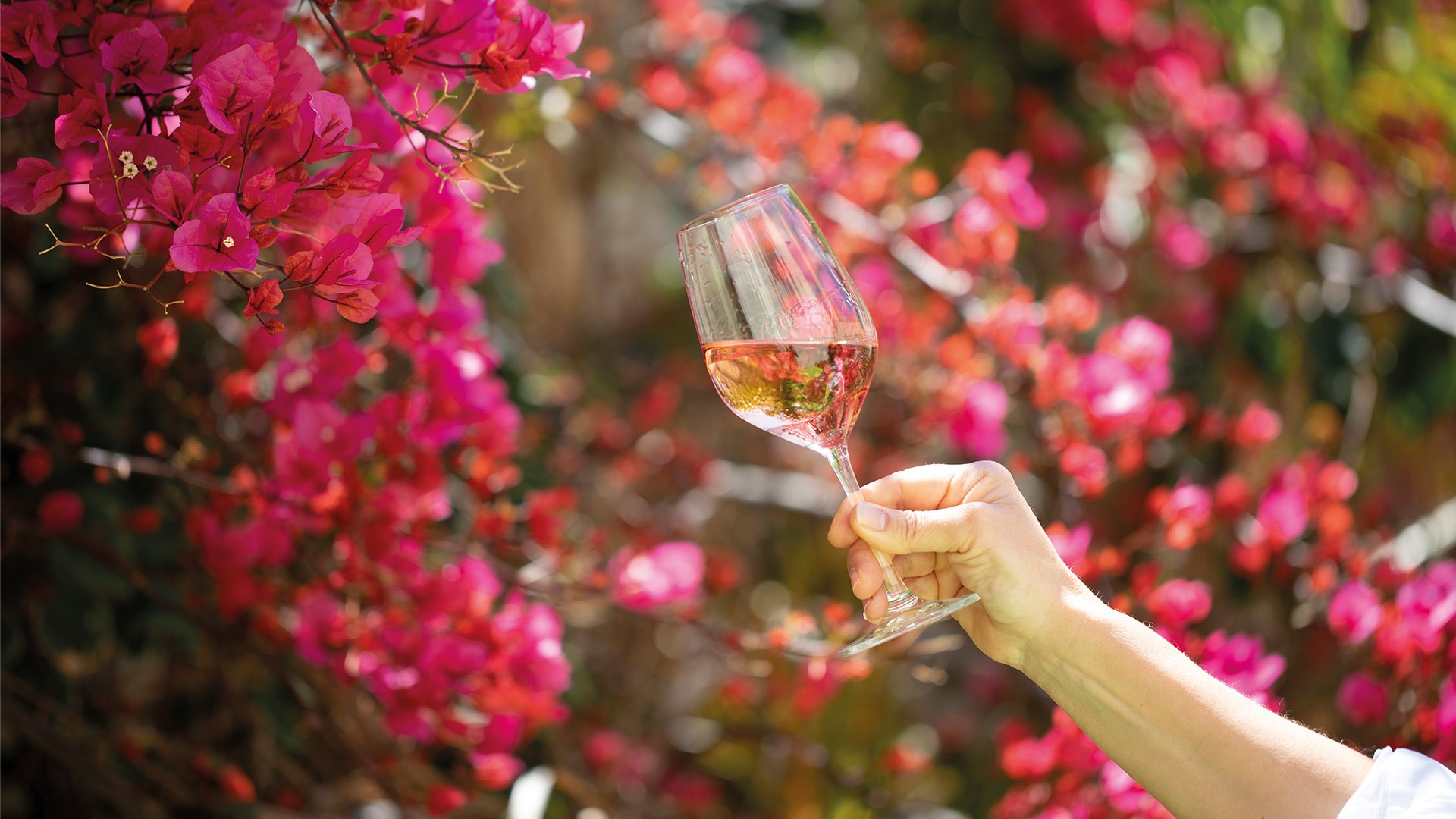 Cantine Aperte Etna - SOLD OUT - Etna