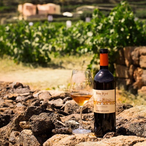 Ben Ryé vertical tasting: degustazione e visita in cantina a Pantelleria