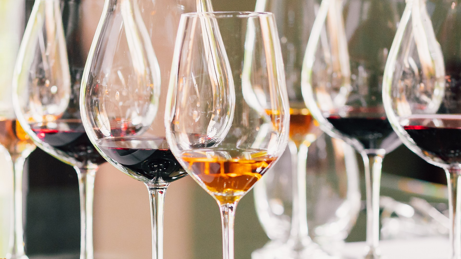 Wine Library - Contessa Entellina