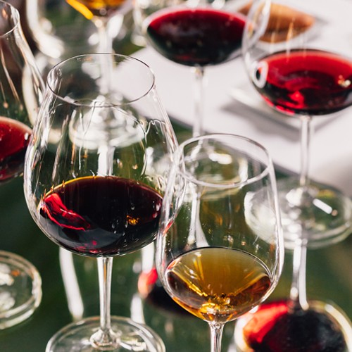 Wine Library: degustazione e visita in cantina a Contessa Entellina