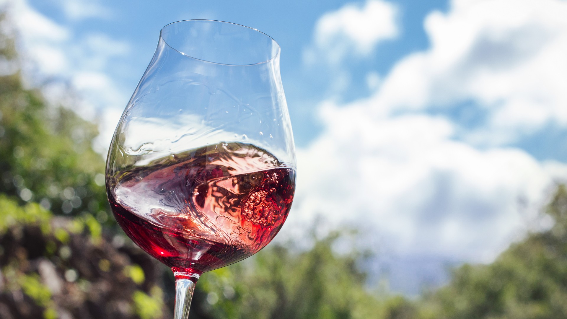 Cantine Aperte - Visit.donnafugata.it