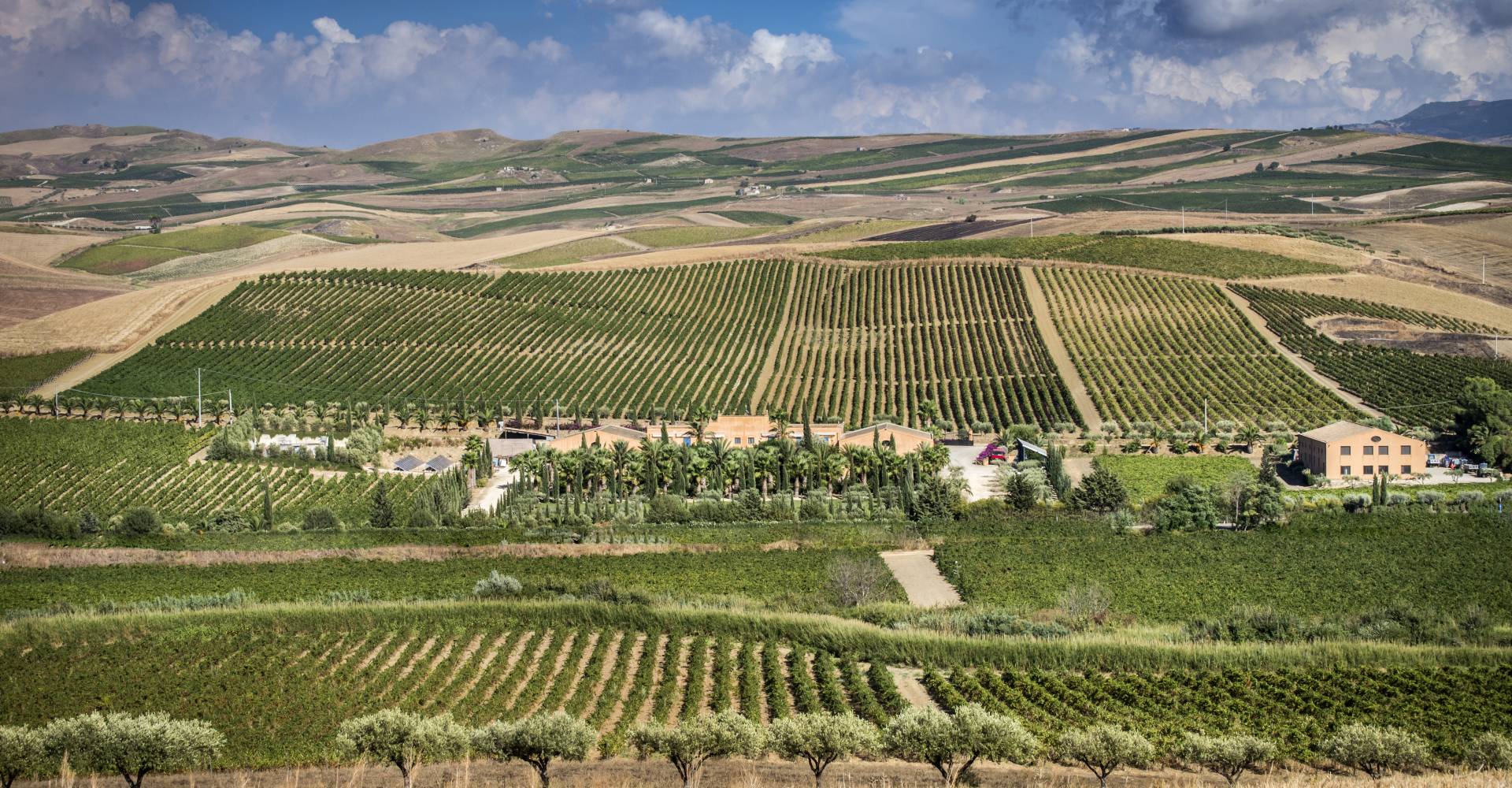 Cantine di Marsala Donnafugata