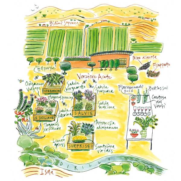 - Cantine Donnafugata