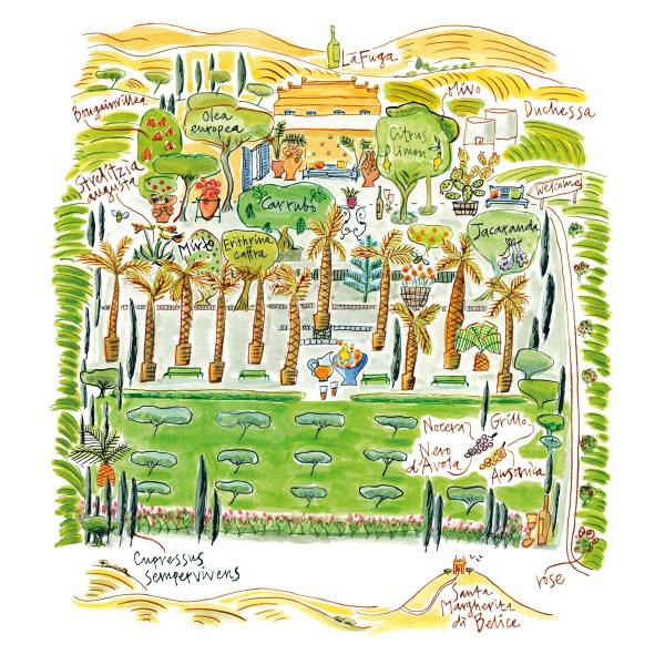 - Cantine Donnafugata