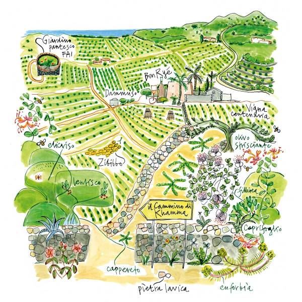 - Cantine Donnafugata