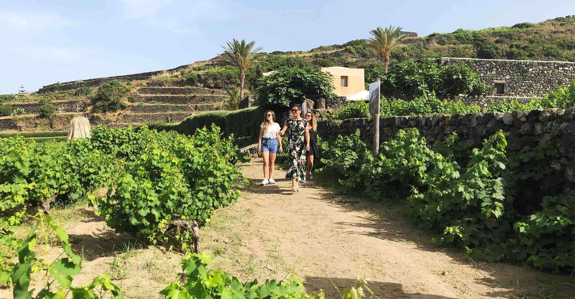 Cantine di Marsala Donnafugata