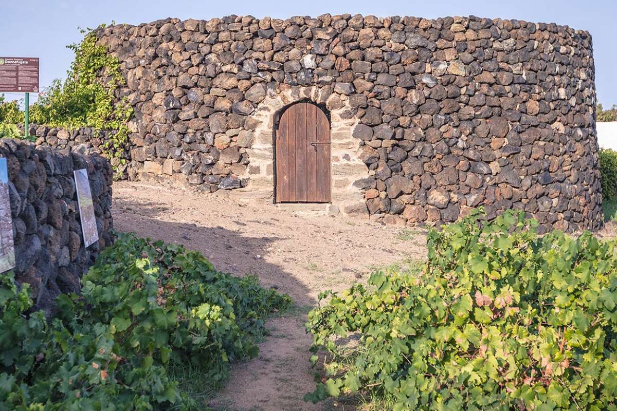 Donnafugata’s Giardino Pantesco, FAI property - Donnafugata winery