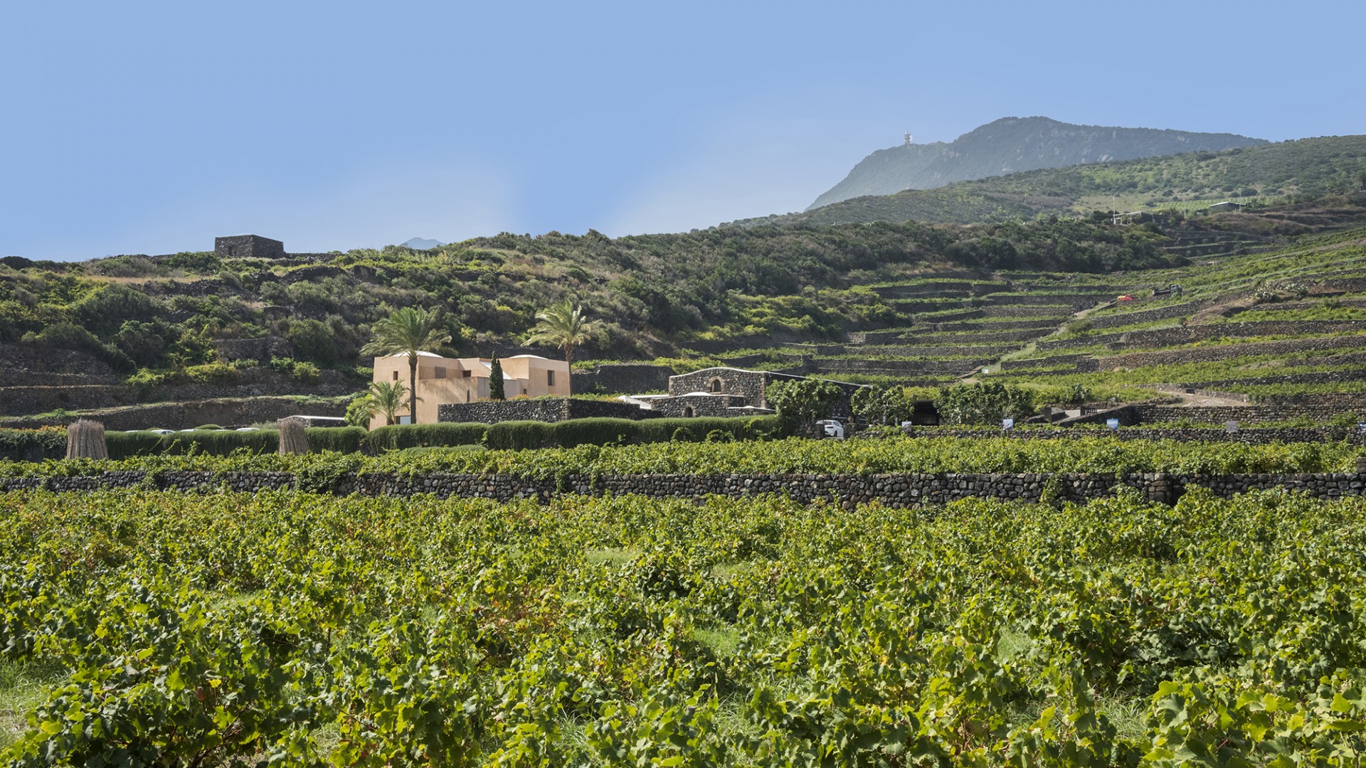 Pantelleria Experience