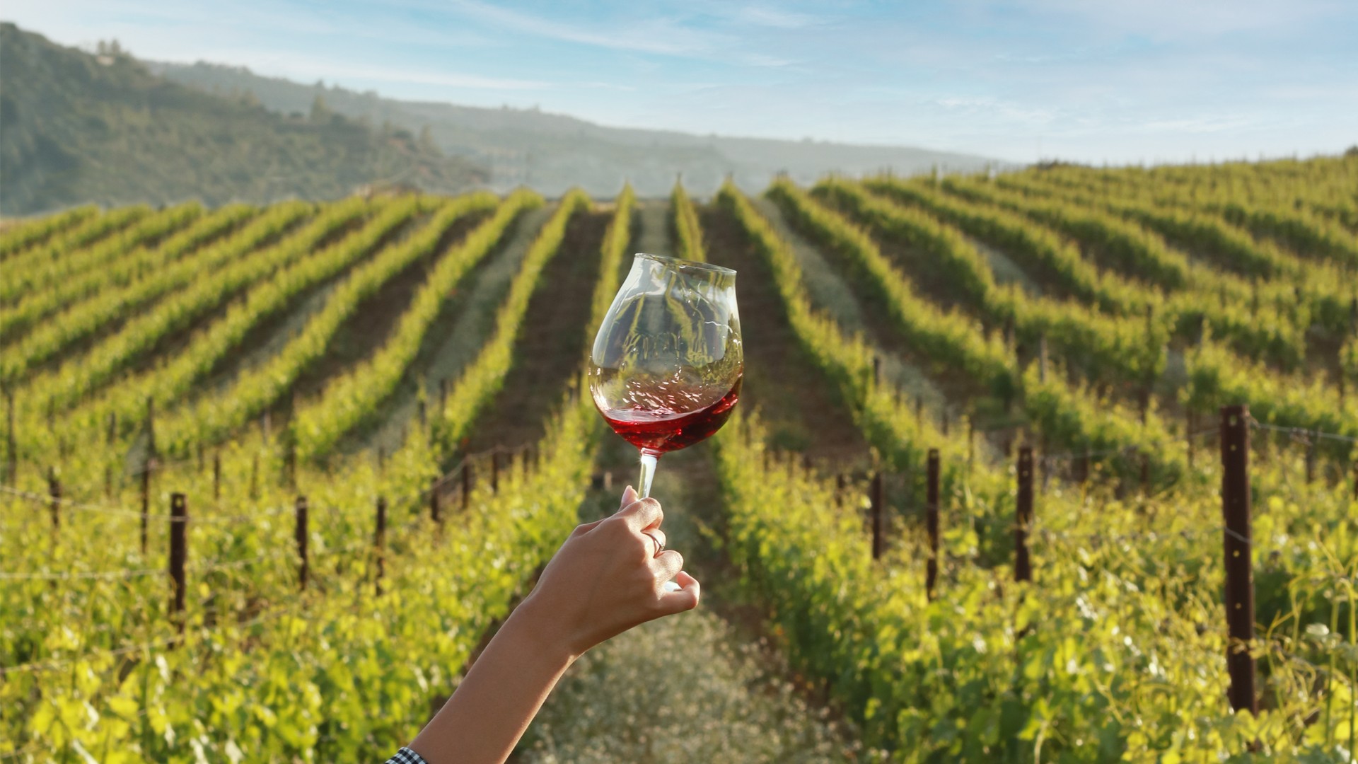 Domenica tra i filari